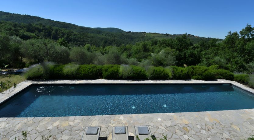 Photo of The Vines of the Vineyard