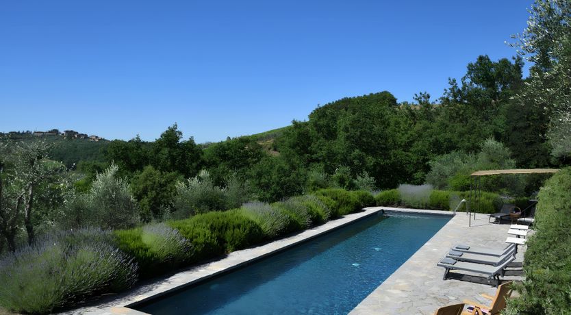 Photo of The Vines of the Vineyard