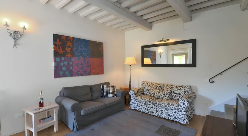 Photo of The Vines of the Vineyard