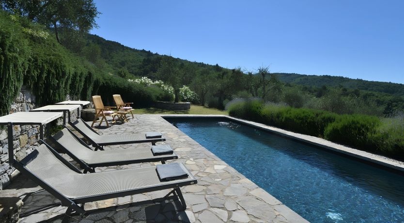 Photo of The Vines of the Vineyard