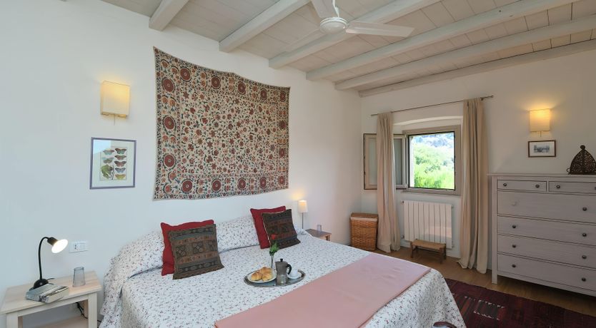 Photo of The Vines of the Vineyard