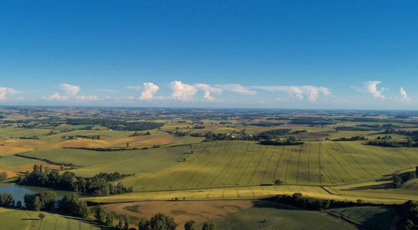 Photo of Castle of Dreams