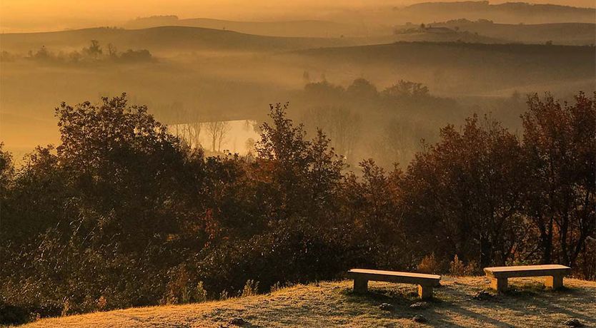 Photo of Castle of Dreams