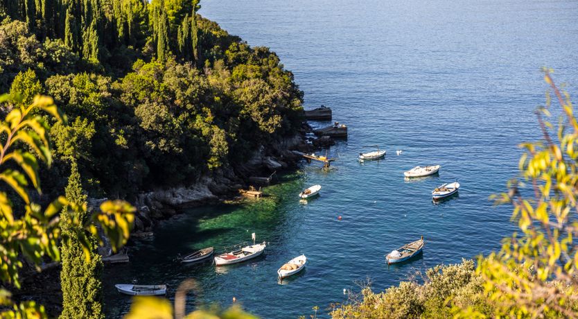 Photo of Aria to the Adriatic