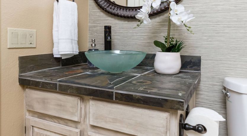 Photo of The Gecko's Song