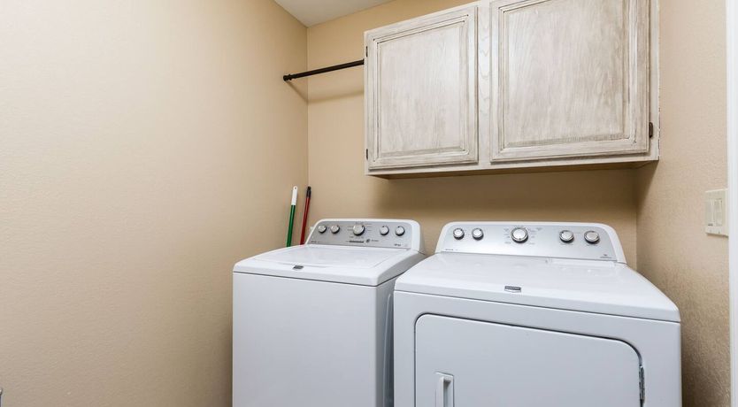 Photo of The Gecko's Song