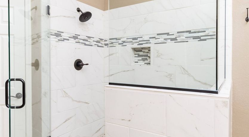 Photo of The Gecko's Song