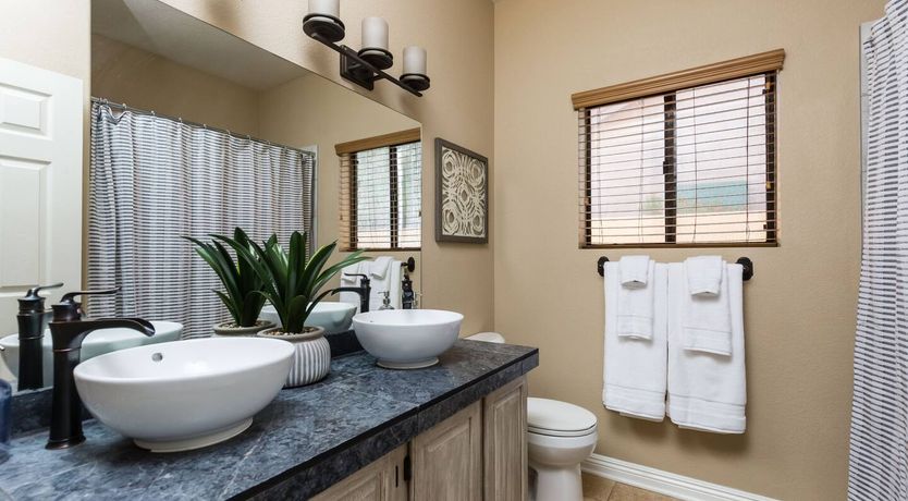 Photo of The Gecko's Song