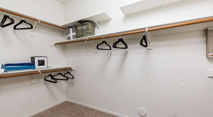 Photo of The Gecko's Song