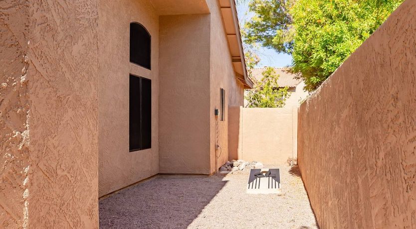 Photo of The Gecko's Song