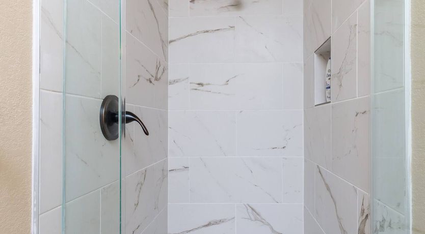 Photo of The Gecko's Song