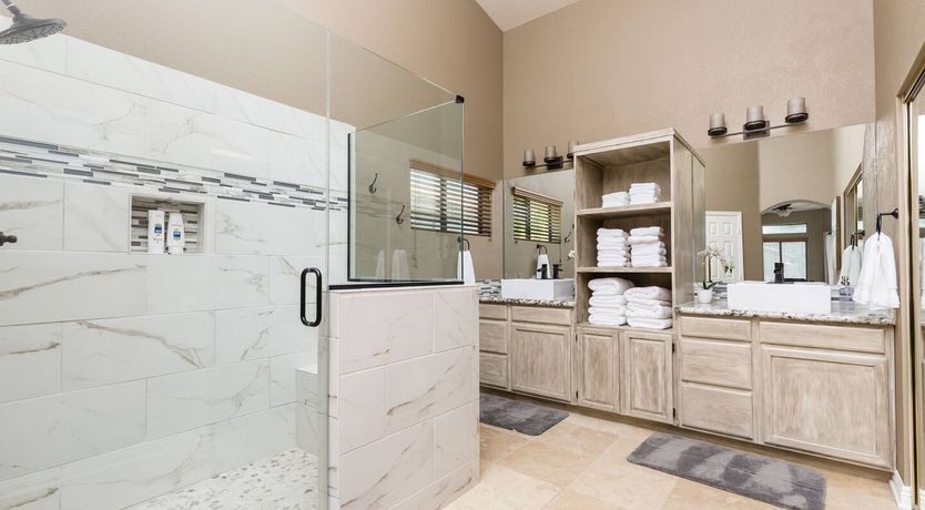 Photo of The Gecko's Song