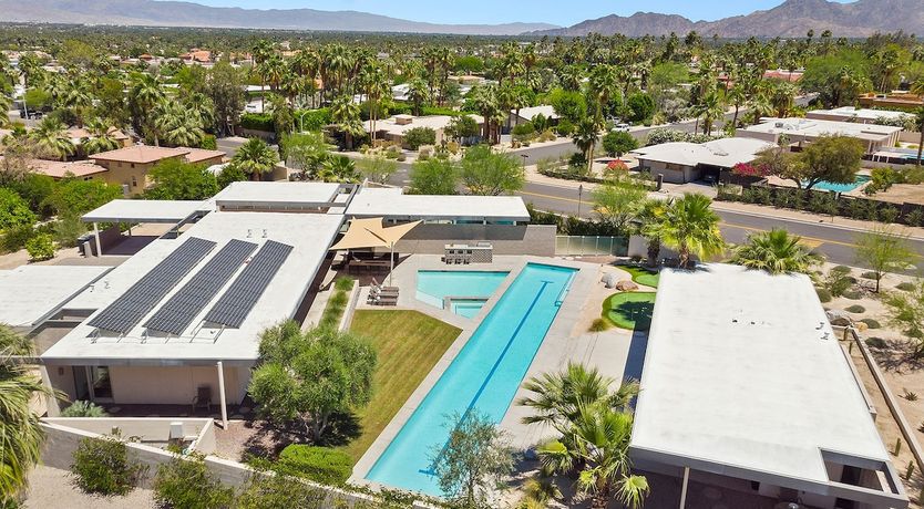 Photo of Palm Trees In Paradise