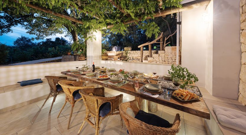 Photo of The Century Oak