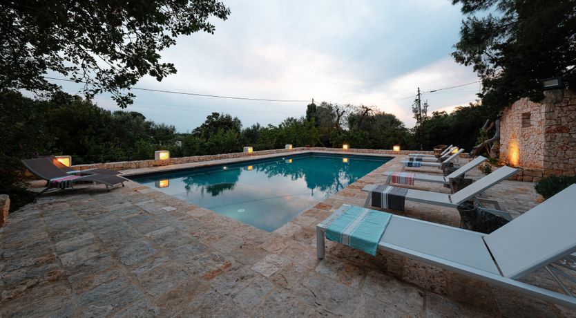 Photo of The Century Oak