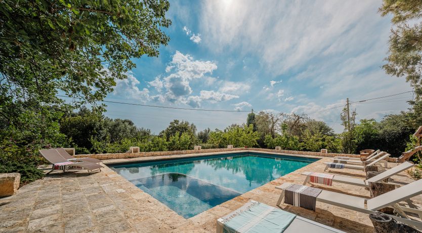 Photo of The Century Oak