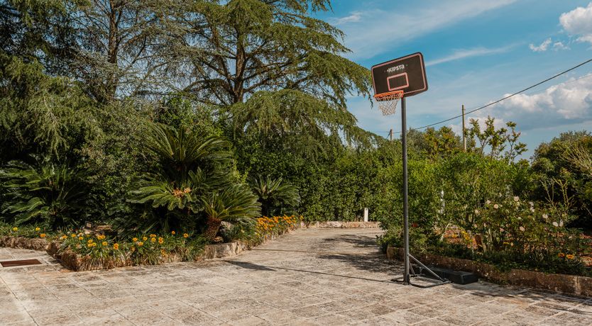 Photo of The Century Oak