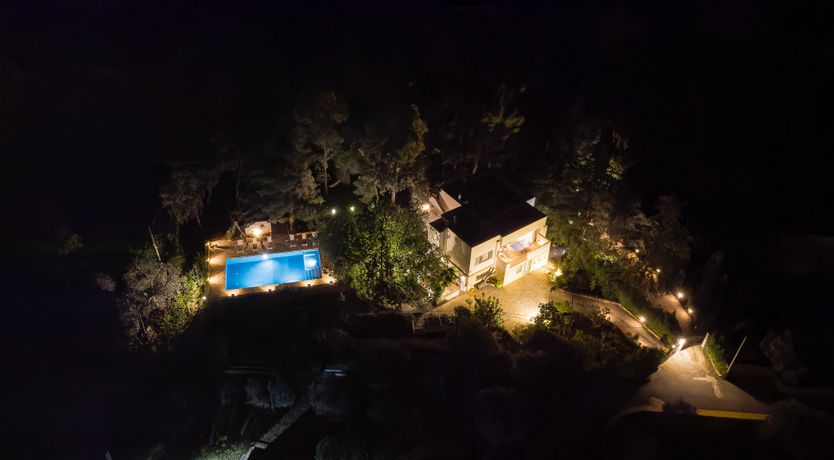 Photo of The Century Oak