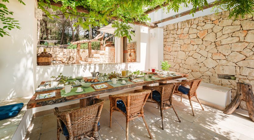 Photo of The Century Oak