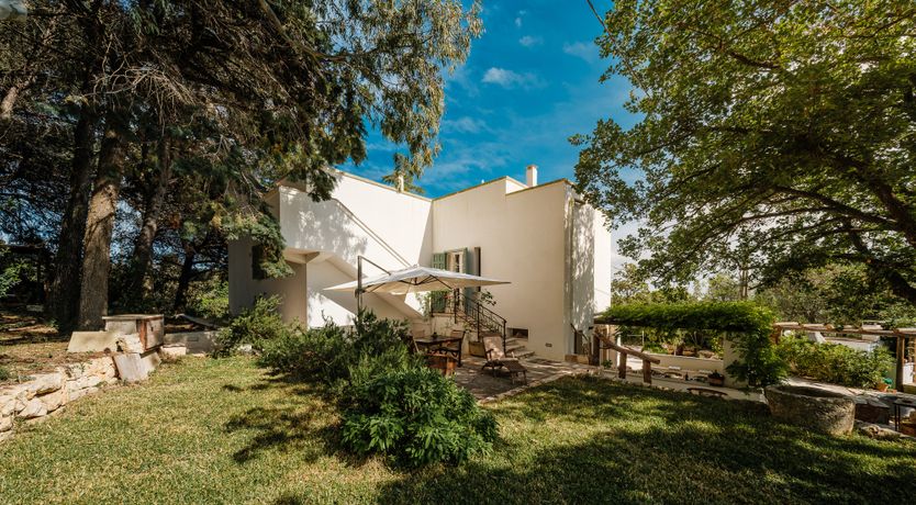 Photo of The Century Oak