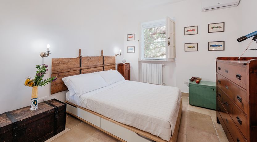 Photo of The Century Oak