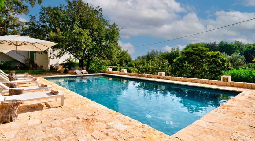 Photo of The Century Oak