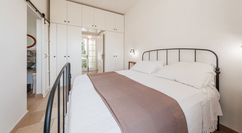 Photo of The Century Oak