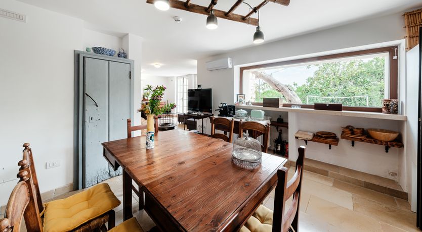 Photo of The Century Oak