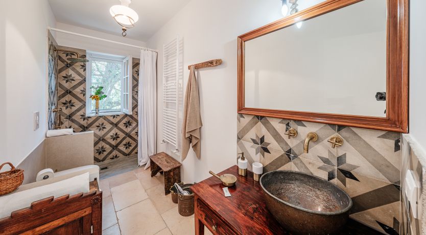 Photo of The Century Oak