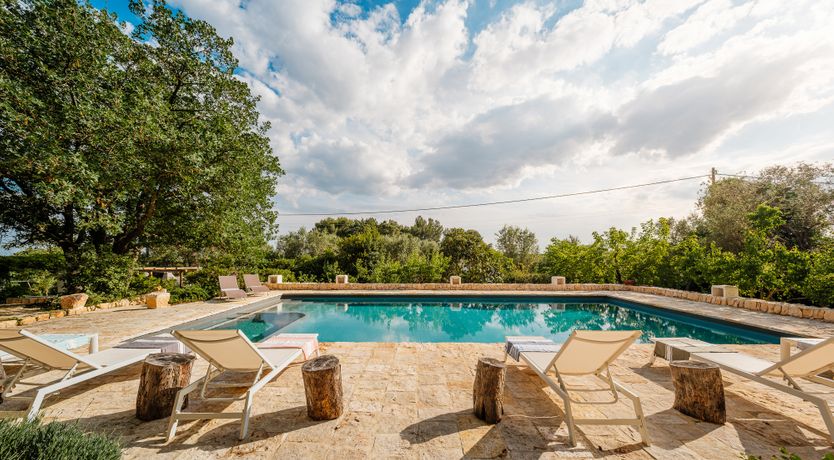 Photo of The Century Oak