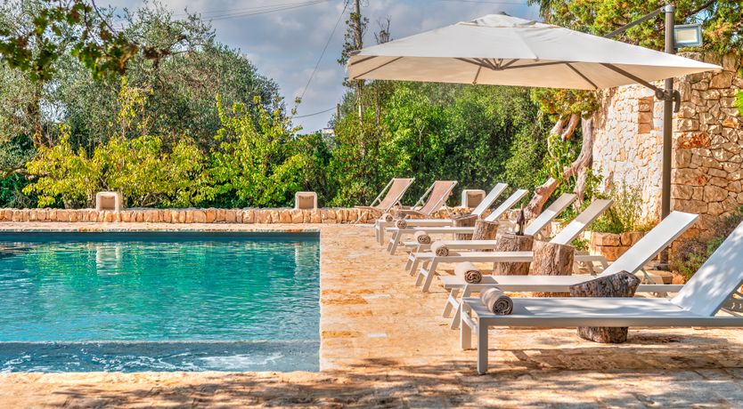 Photo of The Century Oak