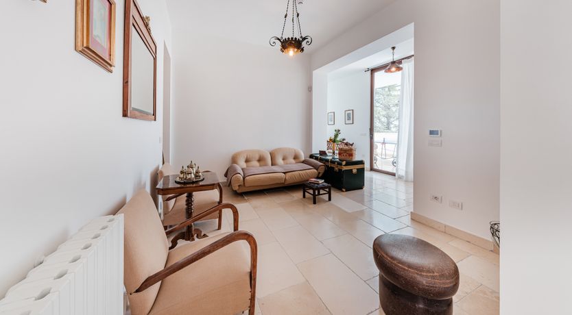 Photo of The Century Oak