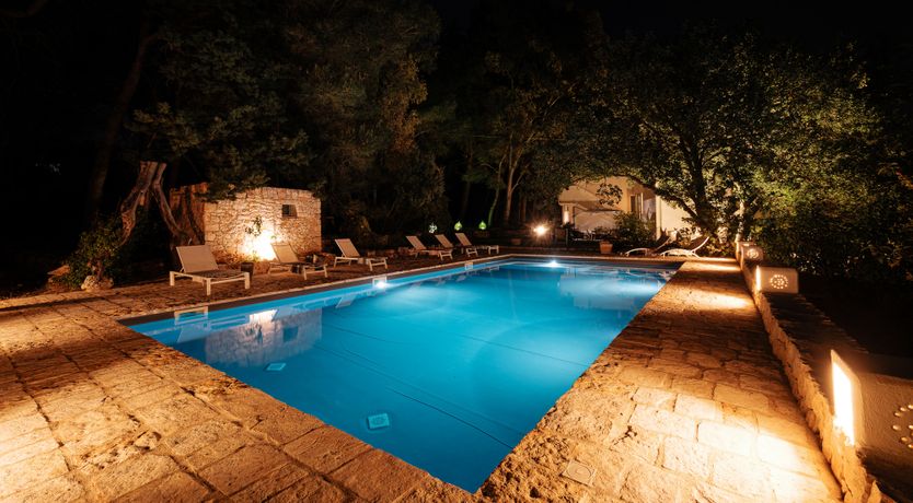 Photo of The Century Oak