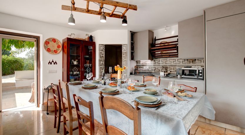 Photo of The Century Oak