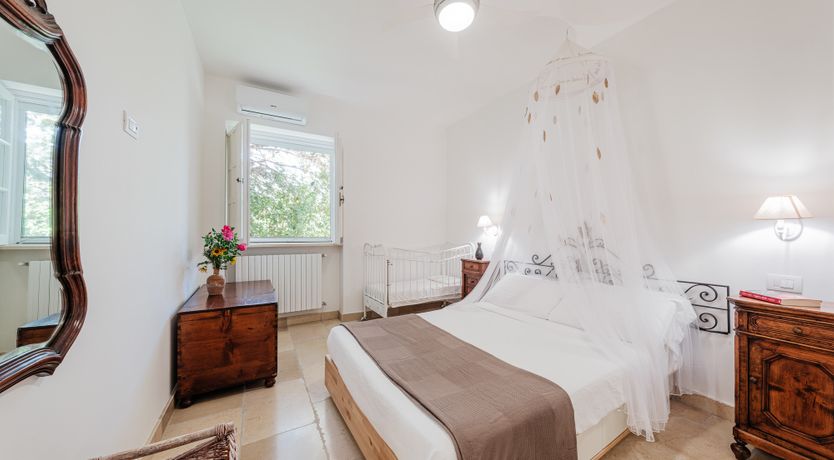 Photo of The Century Oak