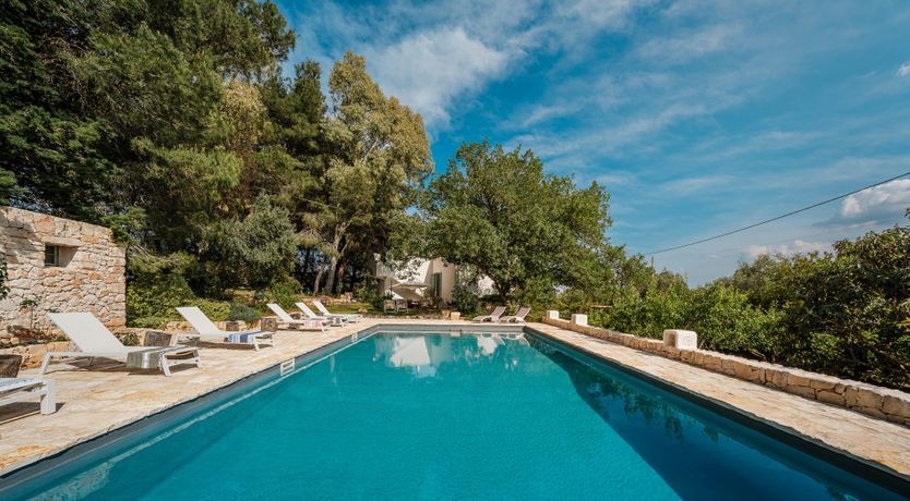 Photo of The Century Oak