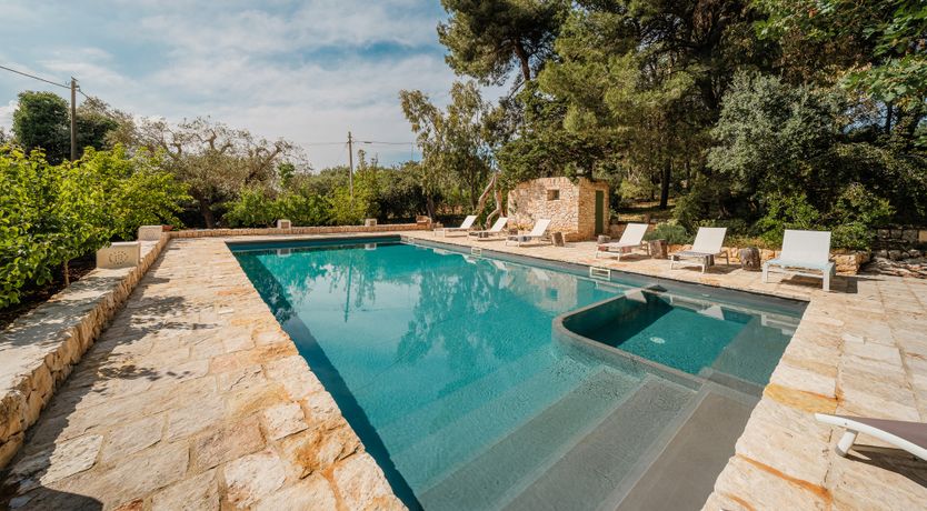 Photo of The Century Oak