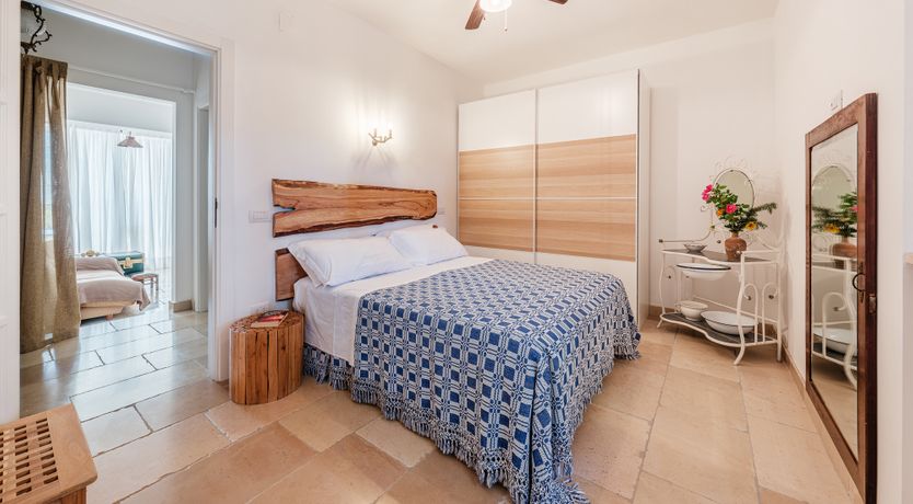 Photo of The Century Oak