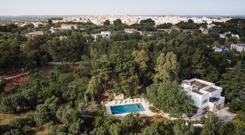 Photo of The Century Oak