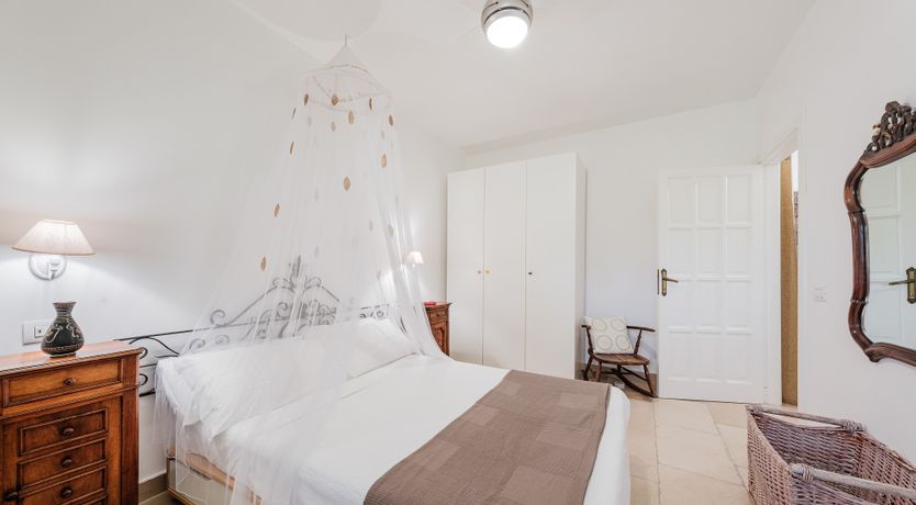 Photo of The Century Oak