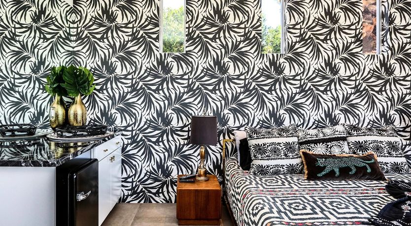 Photo of Flamboyance Central