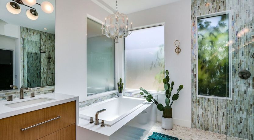 Photo of Flamboyance Central