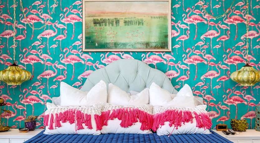 Photo of Flamboyance Central