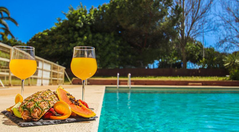 Photo of The Buttercup