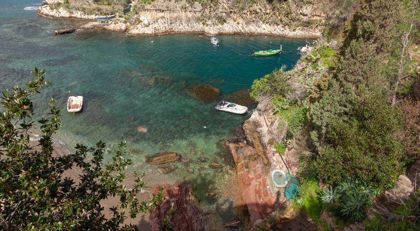 Photo of Bay of Bliss