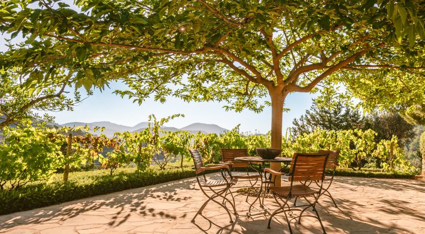 Photo of San José Sunsets