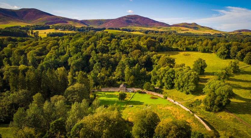 Photo of Garden of Tranquillity