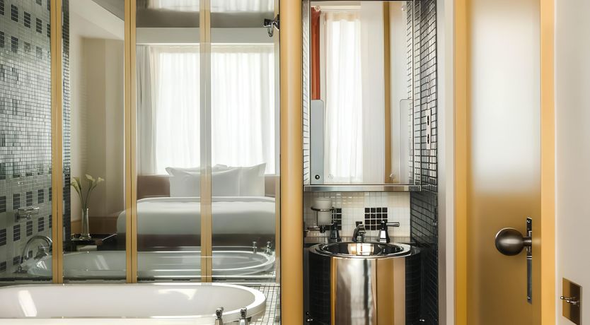 Photo of Parisian Brilliance