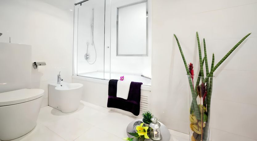 Photo of The Influence of Light