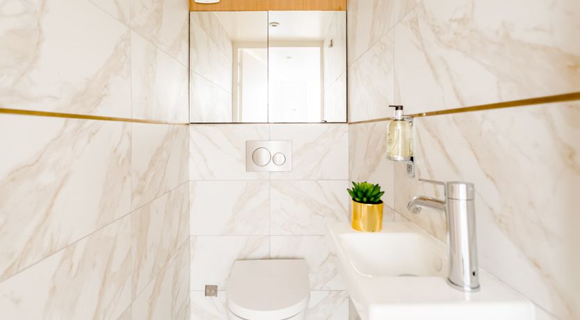 Photo of Queen of France